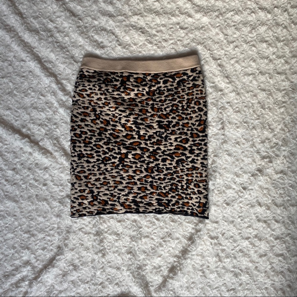 Cheetah Print Mini Skirt